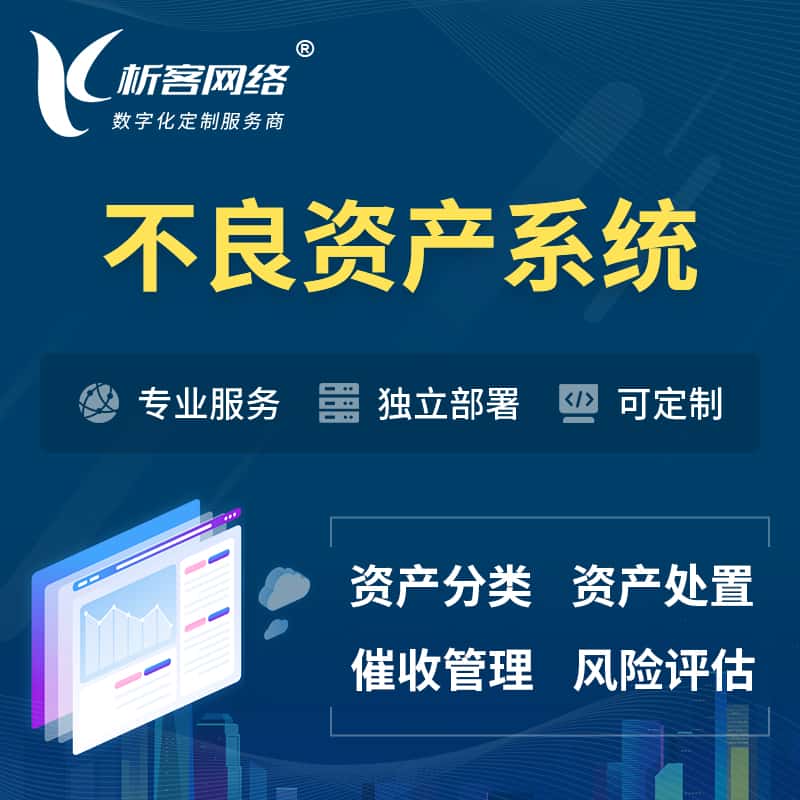 吉林不良资产管理系统